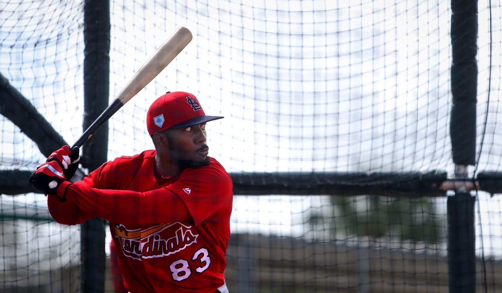 2019 Cardinals spring training